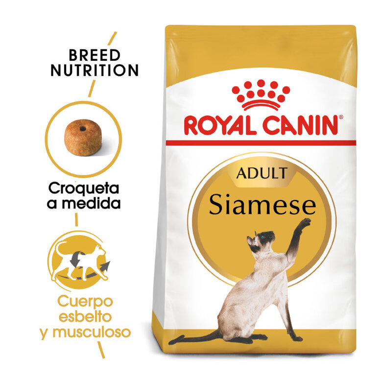 Royal Canin pienso Siamese Adult para gatos image number null